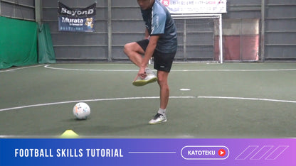 Level 1: Beginner Workout!